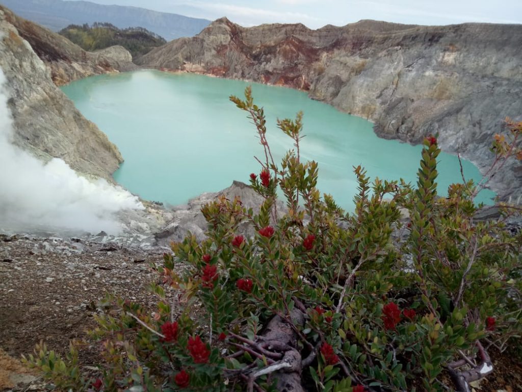 Kawah Ijen Blue Fire Adventure balibiru.com