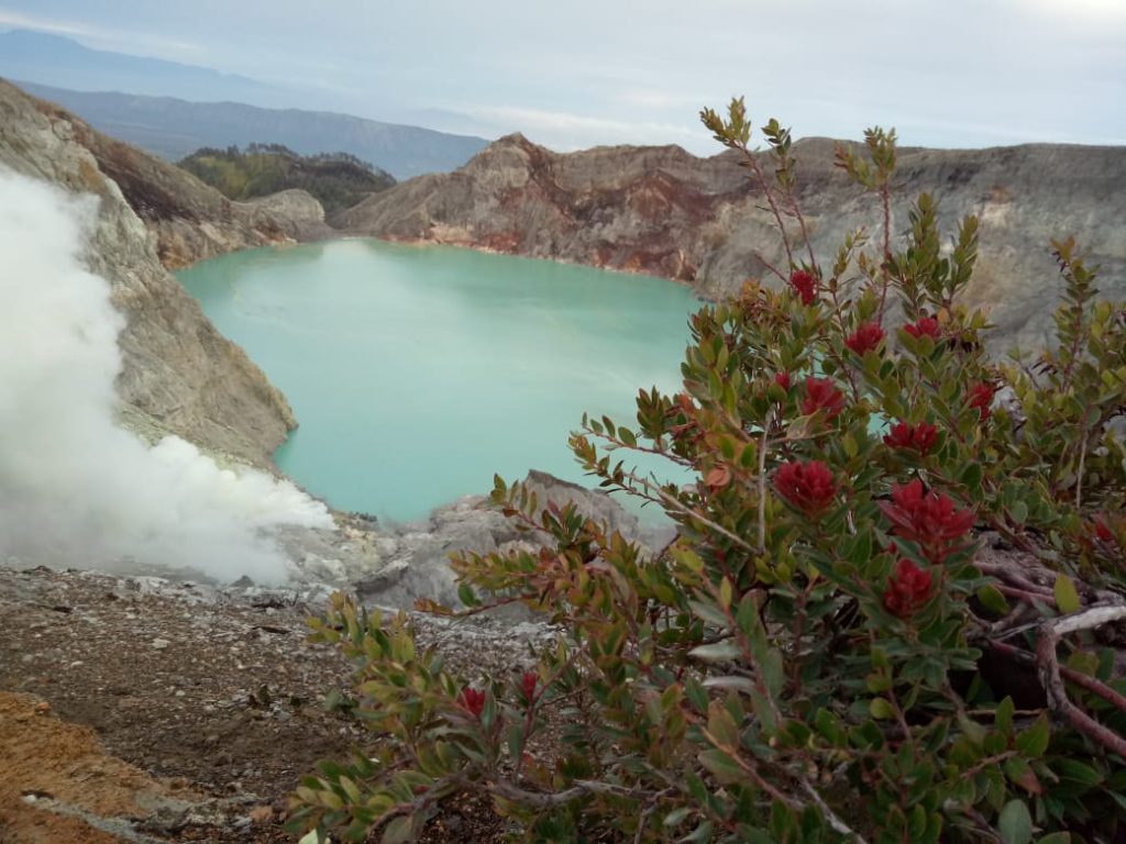 Kawah Ijen Blue Fire Adventure balibiru.com